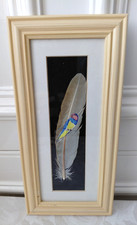 COLOURFUL FINCH BIRD PAINTING