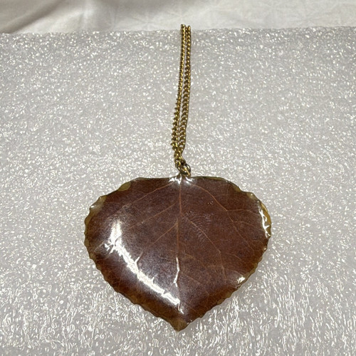 Vintage real preserved leaf - real,