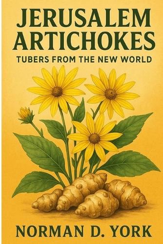 Jerusalem artichokes tubers - jerusalem, artichokes: