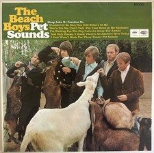 The beach boys - beach, pet