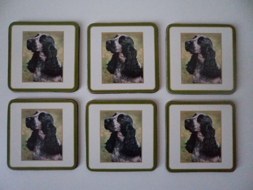Cocker spaniel drink - 6,