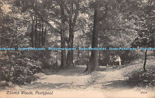 R351901 Pontypool Church Woods