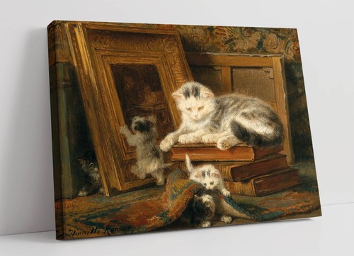 Henriette ronner knip hide - henriette, knip,