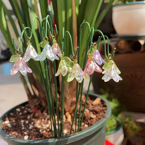 10pcs lily garden - garden, plant