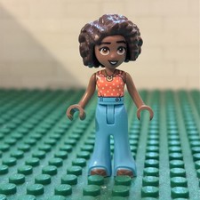 LEGO FRIENDS Minifigures -