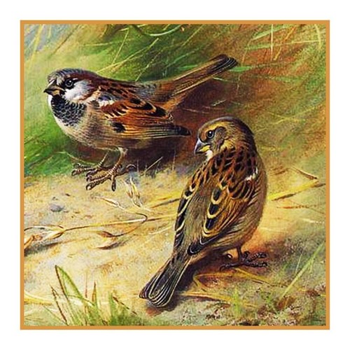 Naturalist archibald thorburn - naturalist,