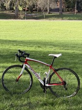 SPECIALIZED SECTEUR, 56CM