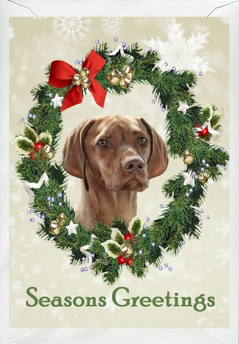 Hungarian vizsla dog christmas - hungarian,