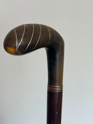 Hand carved walking stick horn - walking,