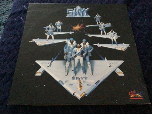 Skyy vinyl record - skyy, record.