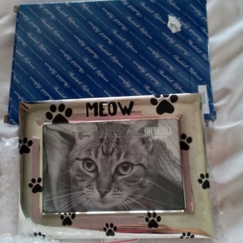 Bnib shudehill giftware meow - shudehill,
