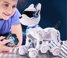 Ziggy the Robo Dog –