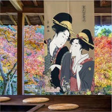 Room Doorway Curtain Door