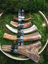 Scottish Red Deer Antler Dog Chew - Long Lasting - Full of Minerals 100% Natural