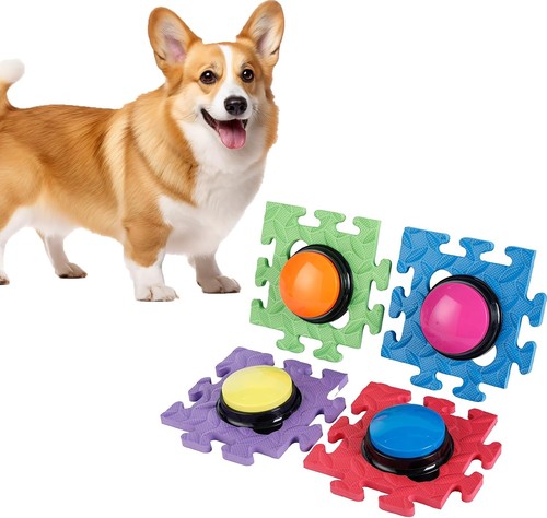 Dog buttons talk training - buttons,