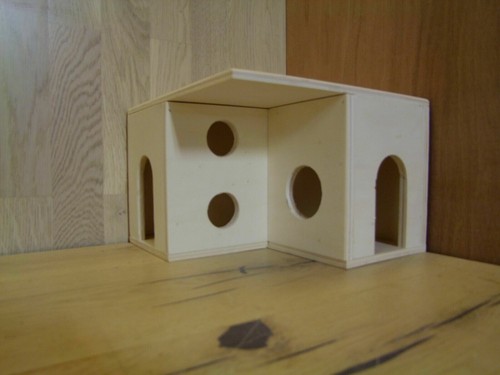 Rodent house hamster - hamster,