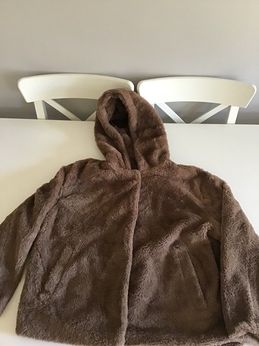 Primark brown teddy bear - teddy,