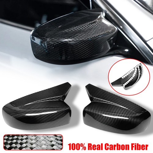 Dry carbon fiber horn style - dry,
