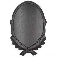 Trophy Shield for Head Mount