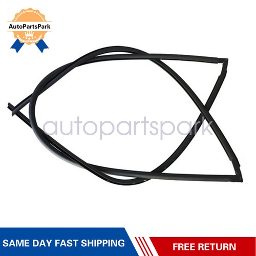 New windshield weatherstrip - windshield,