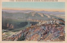 UNPOSTED VTG Postcard HAYNES