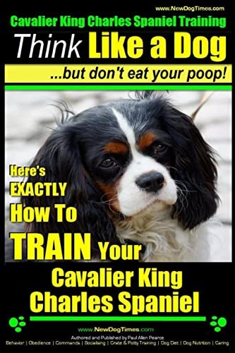 Cavalier king charles - king,