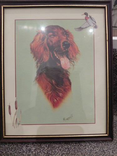 Portrait red irish - a,
