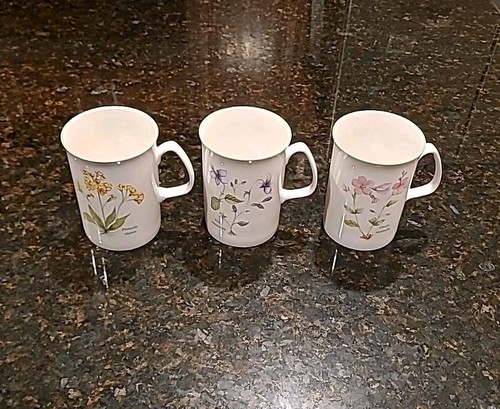Set rose england - of, bone
