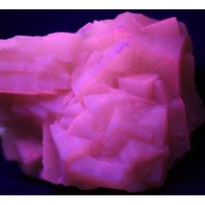 KB: GREAT FL. & PHOS