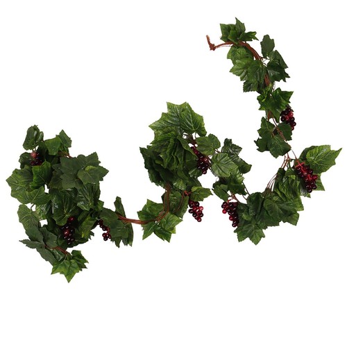 Lots grape vine - lots,