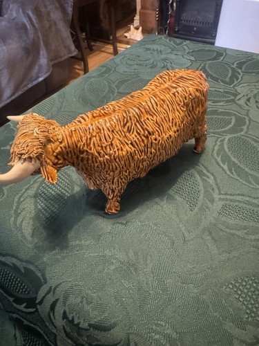 Aberdeen angus highland cow - highland,