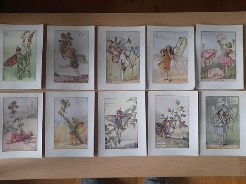 Vintage flower fairies lot - lot, of