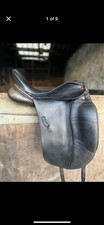 Albion slk ultima dressage - slk,