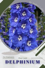 Delphinium: Plant Guide By