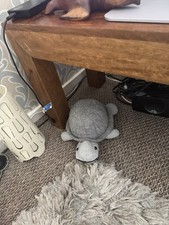 Mango Wood Coffee Table