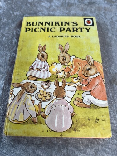 Rare vintage ladybird - rare,
