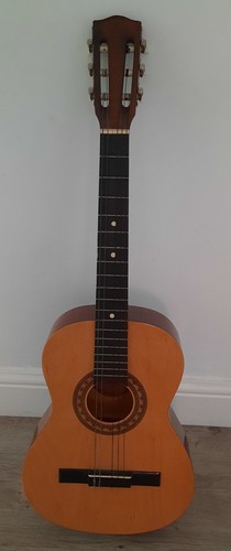 Encore guitar with case string - encore,