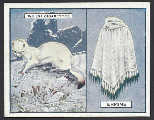 Wills animals and their furs - wills,