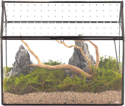 Glass terrarium with acrylic - terrarium,