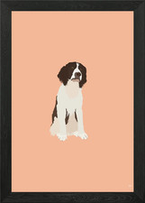 English Springer Spaniel