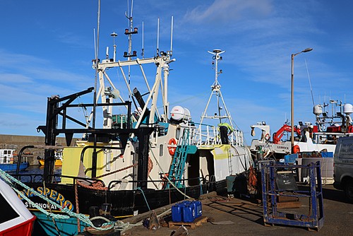 Photo 6x4 nova spero - photo, macduff