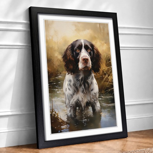 English springer spaniel - english,