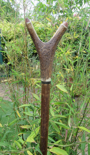 Hand crafted hazel stagshorn - hazel,