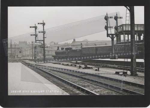 Shrub hill railway station - shrub,