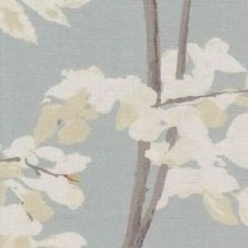 Lewis and Wood - Beech -