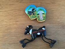 2 FRIDGE MAGNETS FROM FUERTEVENTURA 