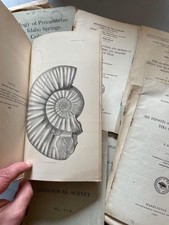 American Geology