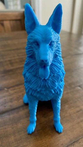 Blue german shepherd dog - german,