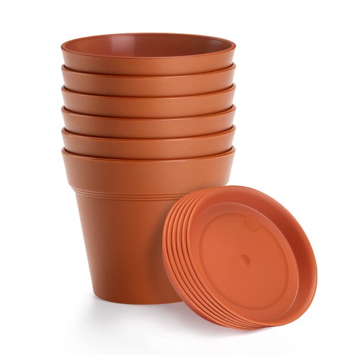 Pack 7inch plastic - 6, plant