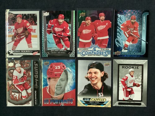 Detroit red wings hockey - wings,